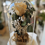 Cúpula Rosa eterna.