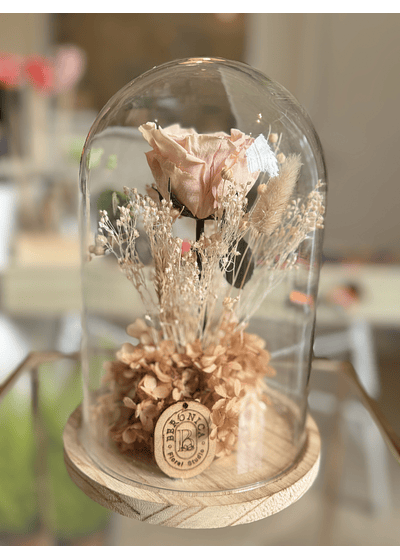 Cúpula Rosa eterna.