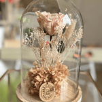 Cúpula Rosa eterna.