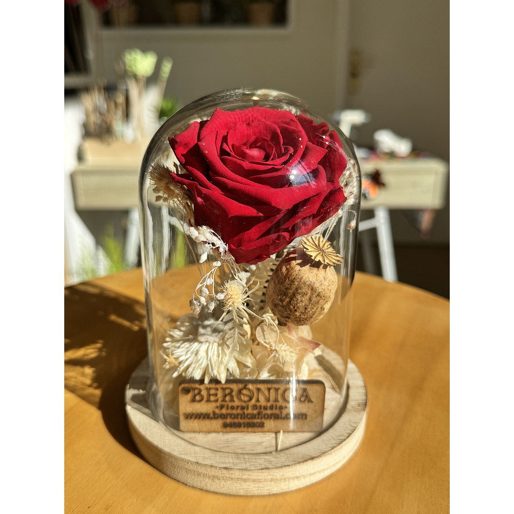 Cúpula Rosa eterna pequeña.