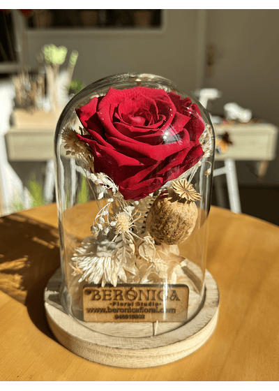 Cúpula Rosa eterna pequeña.