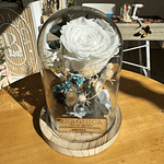 Cúpula Rosa eterna pequeña.