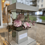 Caja Floral Premium con Rosa y Claveles