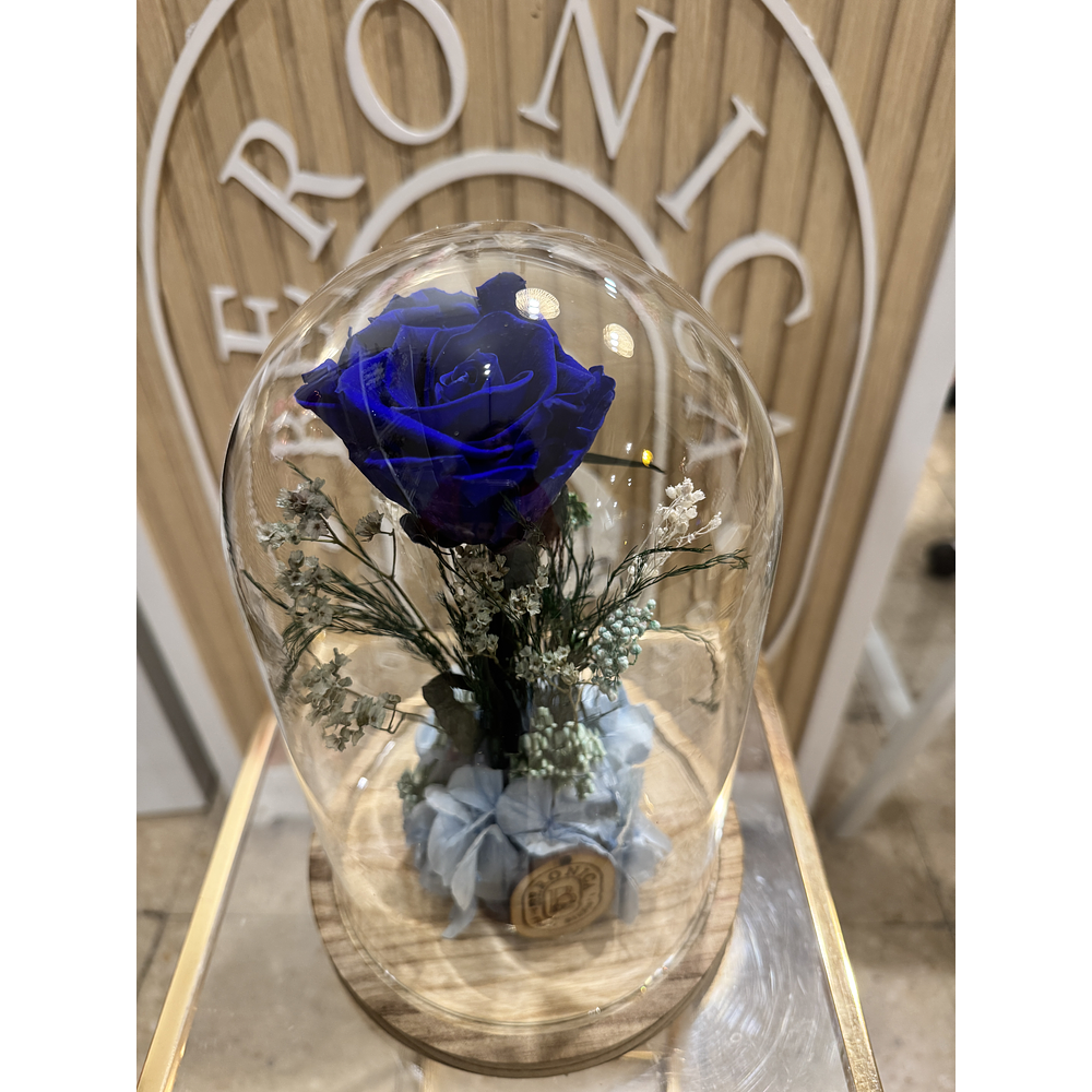 Cúpula Rosa eterna.