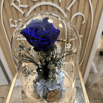 Cúpula Rosa eterna.