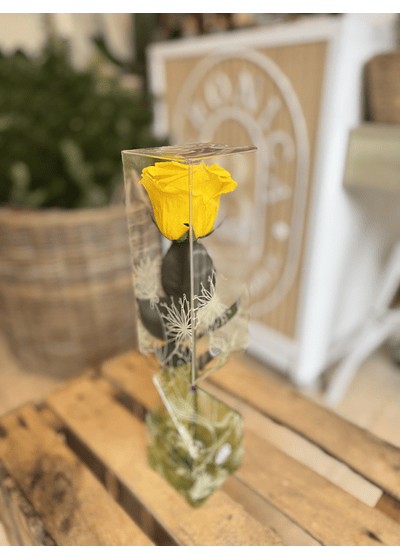 Rosa preservada amarilla