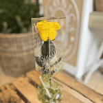 Rosa preservada amarilla