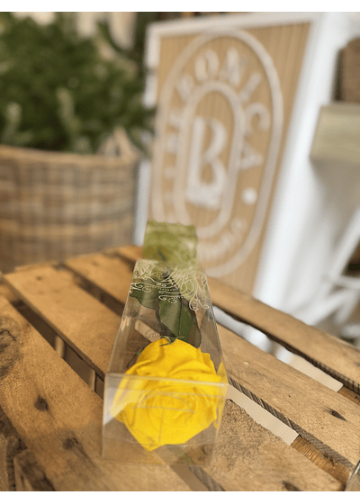 Rosa preservada amarilla