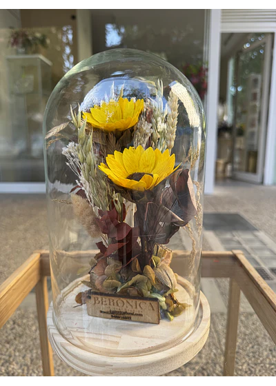 Cúpulas de Girasoles Dobles