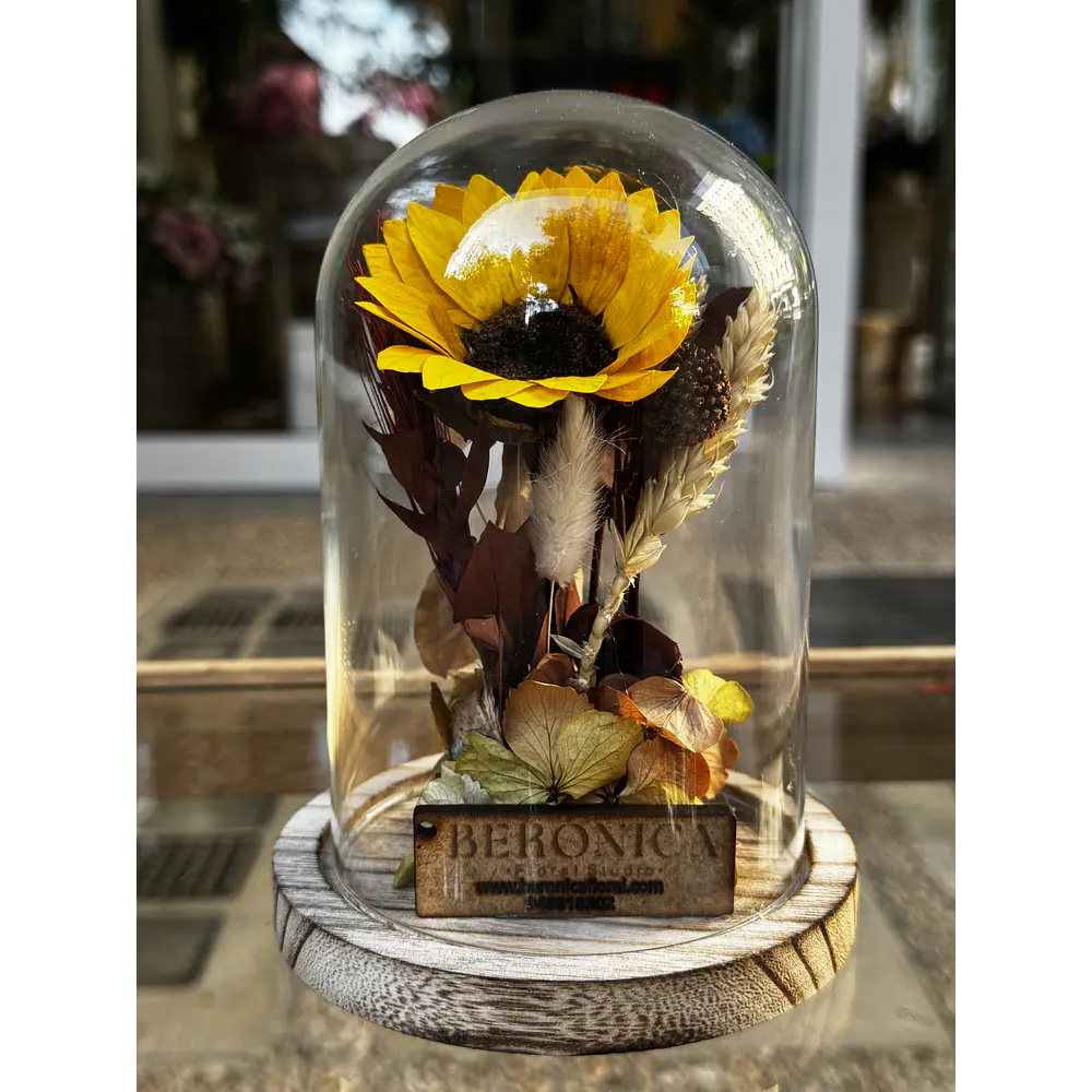 Cúpula Rosa eterna mini