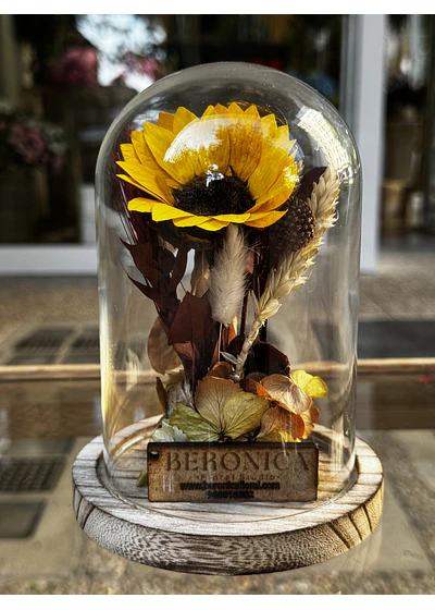 Cúpula Rosa eterna mini