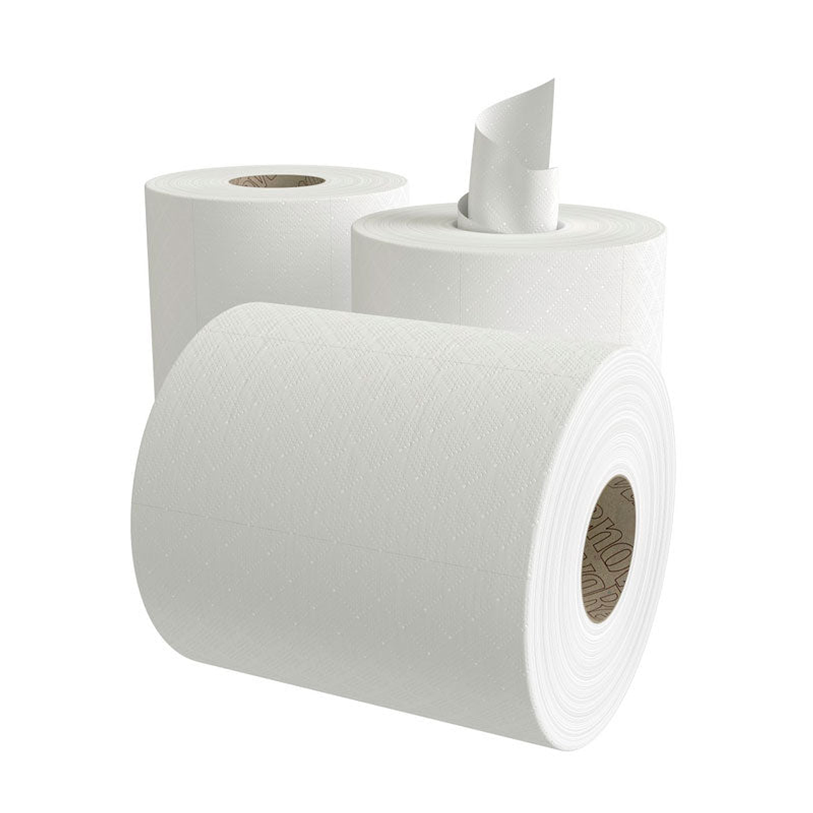 Papel Toalla Secamanos Mecha Renova Green - 96 Metros  3