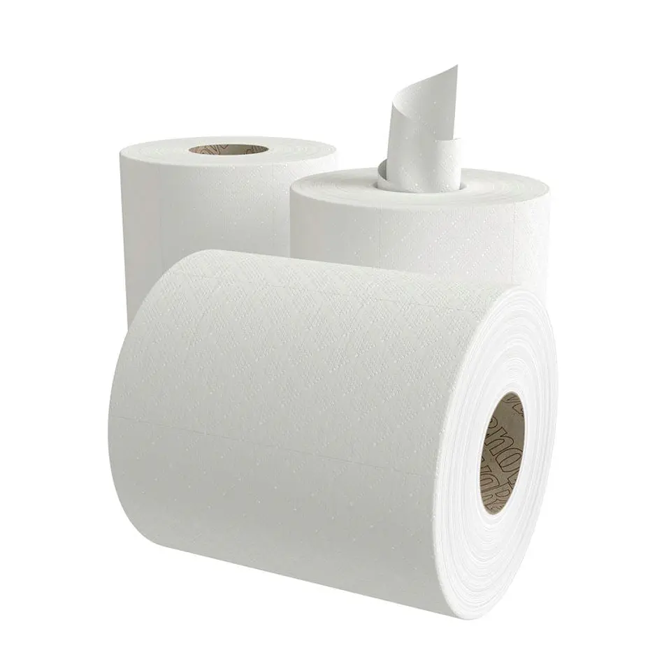 Papel Toalla Secamanos Mecha Renova Green - 96 Metros  3