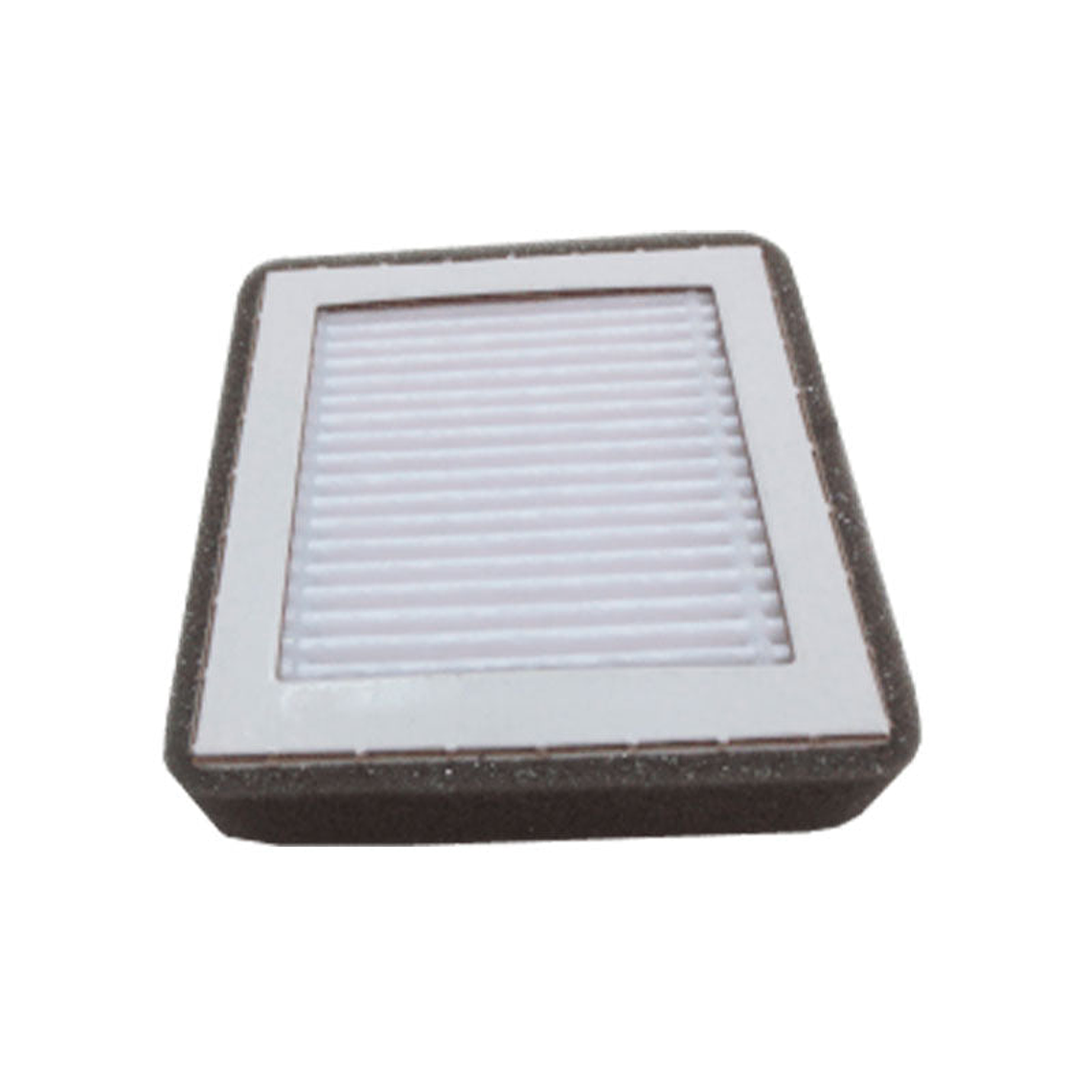 Filtro HEPA para Secamanos Power Plus 1