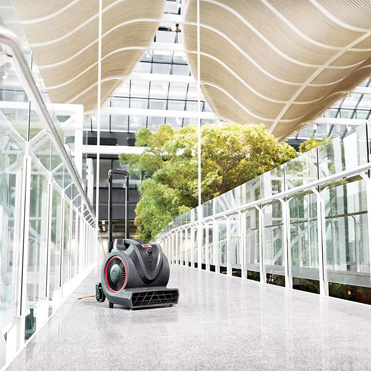 Soplador Moquetas y Tapicerías Viper BV3 - 3 Velocidades 2