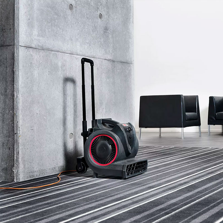 Soplador Moquetas y Tapicerías Viper BV3 - 3 Velocidades 3