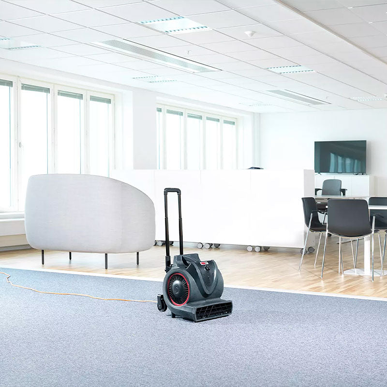 Soplador Moquetas y Tapicerías Viper BV3 - 3 Velocidades 4