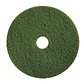 Disco de Limpieza Fibra Verde - Limpieza Intermedia - Miniatura 1
