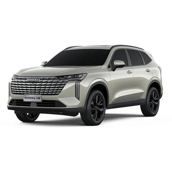 H6 F2 2.0T AT 2WD DELUXE	MARFIL DORADO