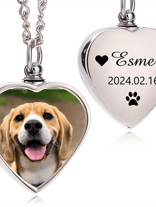 Recurdo de mascota llavero