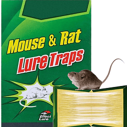 Trampa Pegajosa de Raton Grande (21x16cm)