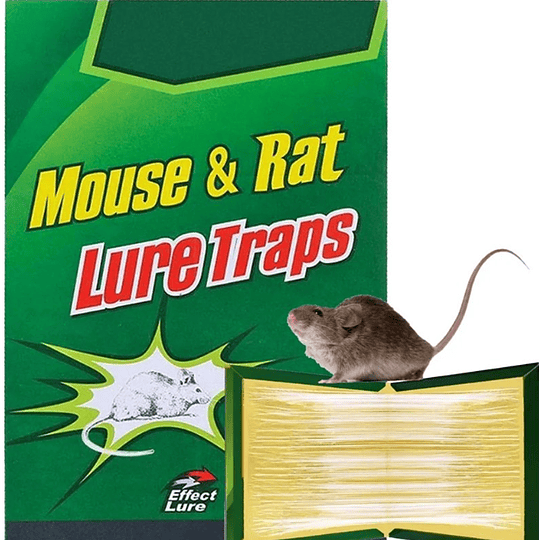 Trampa Pegajosa de Raton Grande (21x16cm)