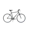 Bicicleta Fixie Raleigh Gian 700C