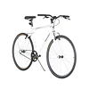 Bicicleta Fixie Raleigh Gian 700C