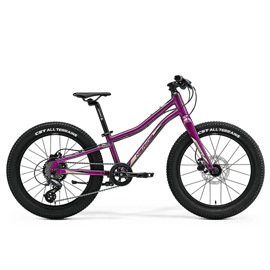Bicicleta Merida Matts J 10 Aro 20