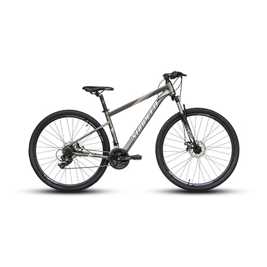 Bicicleta De Aluminio Sunpeed Zero Aro 29