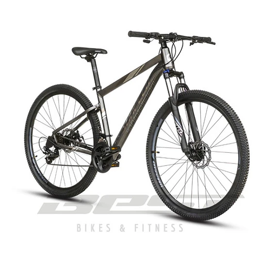 Bicicleta De Aluminio Sunpeed Zero Aro 29