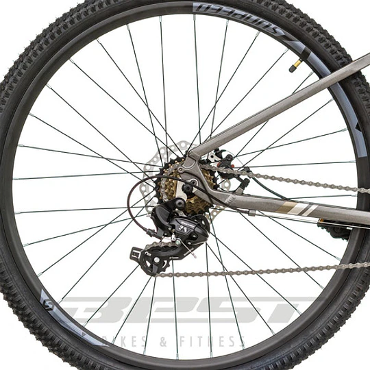 Bicicleta De Aluminio Sunpeed Zero Aro 29