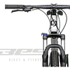 Bicicleta De Aluminio Sunpeed Zero Aro 29
