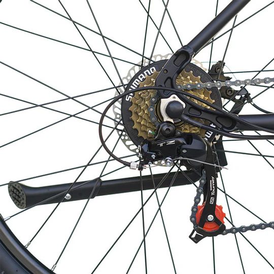 Bicicleta Best Electrica Asistida E-best Mujer Aro 26 Negro