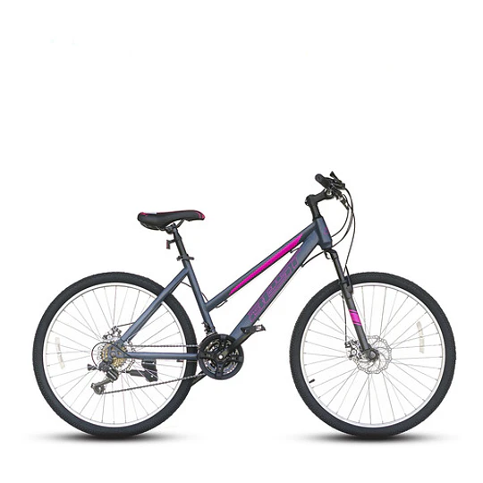 Bicicleta Best De Mujer Freya Aro 26 Gris