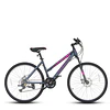 Bicicleta Best De Mujer Freya Aro 26 Gris