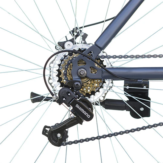 Bicicleta Best De Mujer Freya Aro 26 Gris