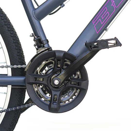 Bicicleta Best De Mujer Freya Aro 26 Gris