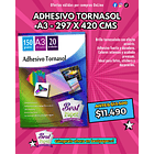 Adhesivo Tornasol Holográfico 150 gramos A3 1