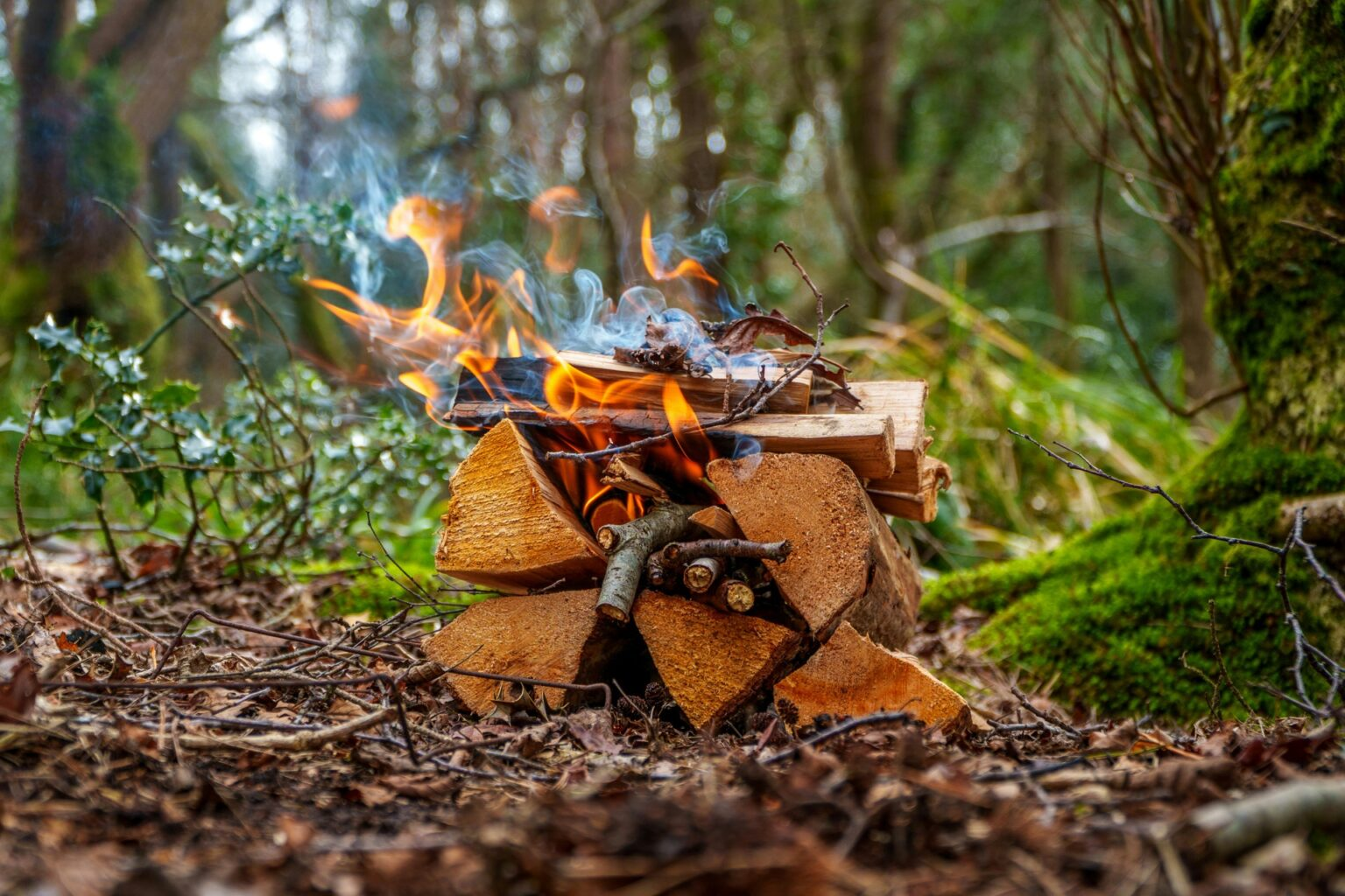 ¿Qué hace que a un cuchillo bueno para bushcraft?