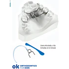 DISYUNTOR LEAF EXPANDER CON REACTIVACION  1