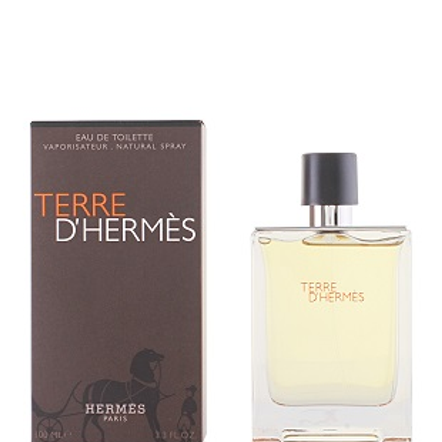 Perfume Terre Dhermes Hombre Edt 100 ml