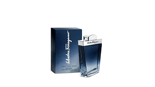 Perfume Subtil Salvatore Ferragamo Hombre Edt 100 ml