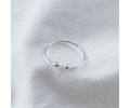 Anillo Totoralillo