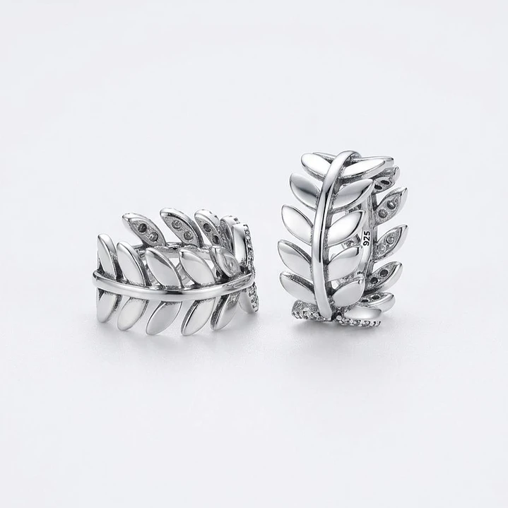 Argollas Penélope 1