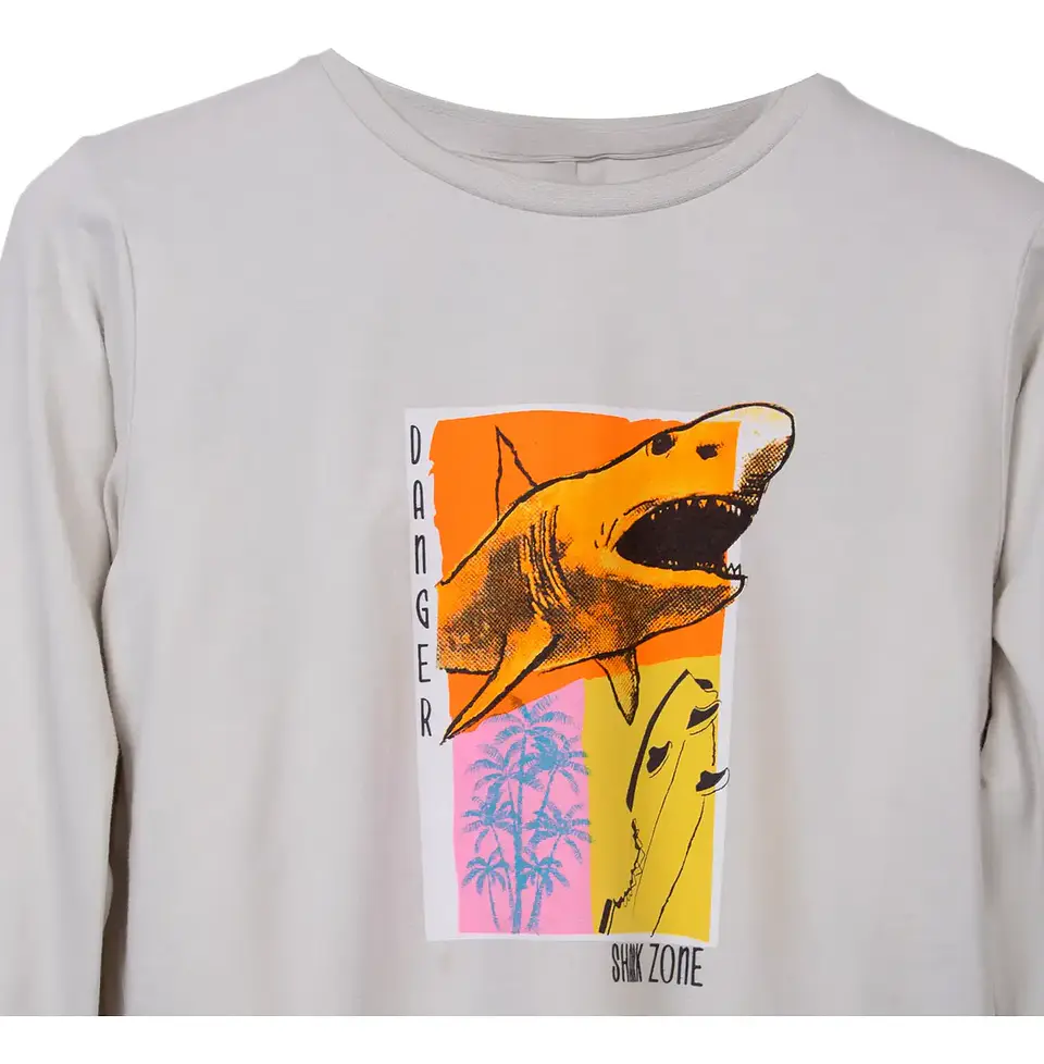 Polera Niño Gris Pillin (pvc607-25gri) 2
