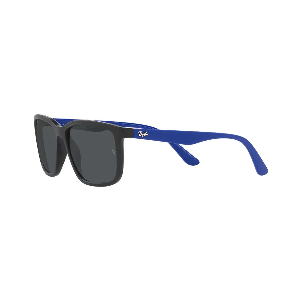 Lentes de Sol Negro Ray-Ban 2