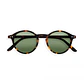 LENTES ANTEOJOS DE SOL POLARIZADO, HOMBRE MUJER WINNIPEG | Caf - Miniatura 2