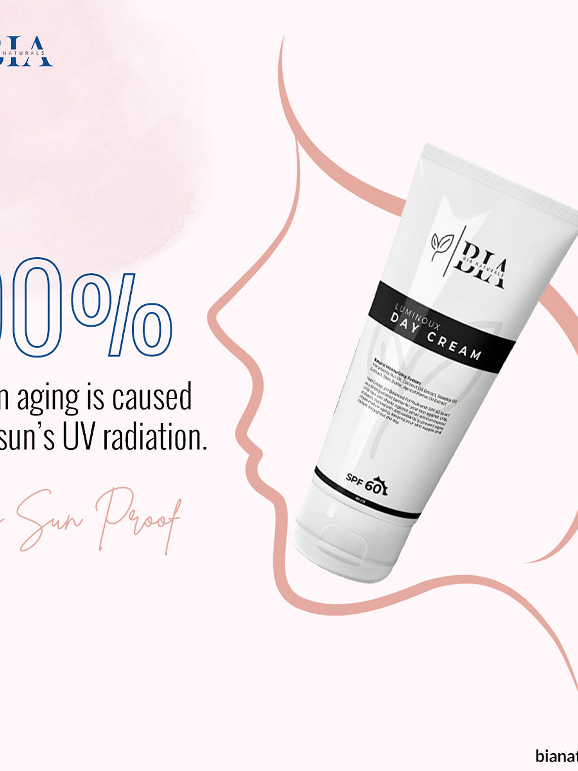 Day Cream (SPF 60++) 2