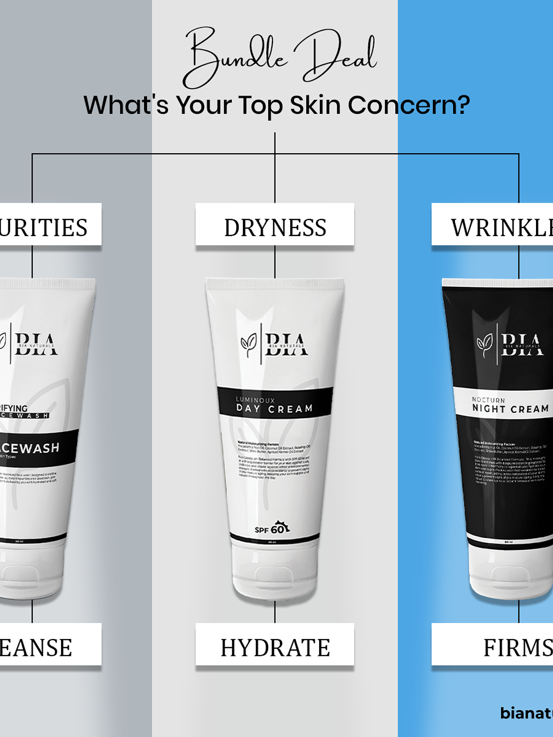 Everyday Essentials 3